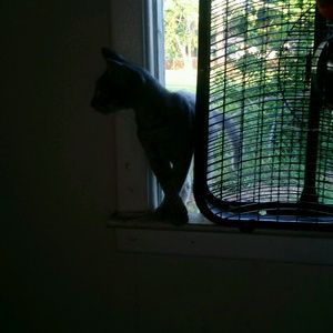 Meet your Posher, Paulette